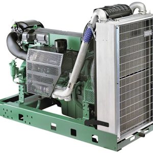 BIOGAS-COGENERATION